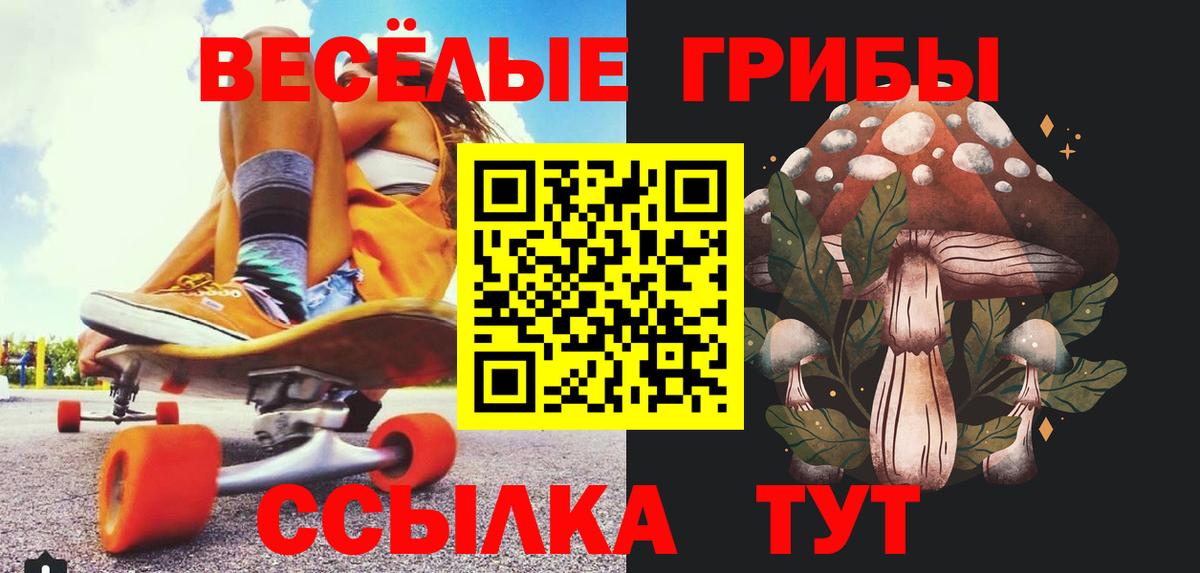 Галлюциногенные грибы Psilocybine cubensis Новотроицк