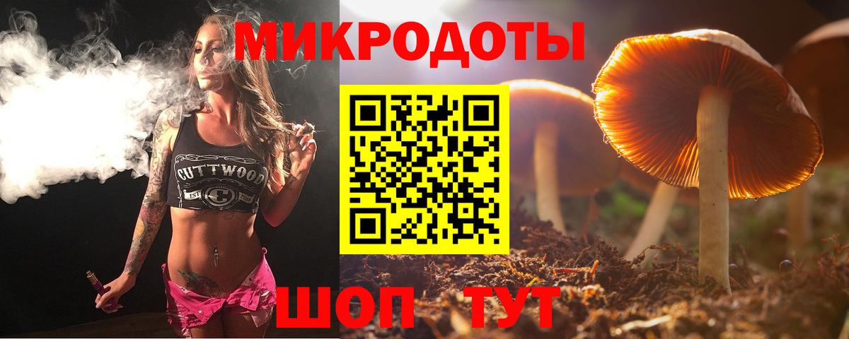 Новотроицк  Псилоцибиновые грибы GOLDEN TEACHER  Галлюциногенные грибы Psilocybe  Вход с VPN 